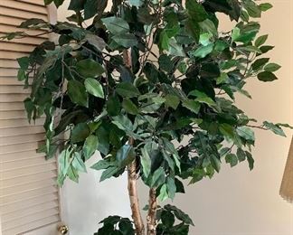 Faux Plant in Pot 72in H x 15in Diameter