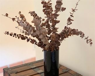 Plant Decor