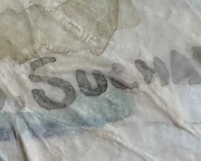 *Original* S. Suchart Painting	27x21	
