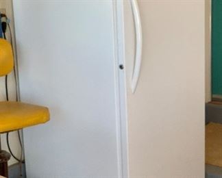 Frigidaire 13.8 CuFt Commercial Freezer Upright LFFU1465DW4	60x28x32in	HxWxD
