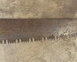 Antique Warranted Superior 2 Man Logging Saw   Ohlen-Bishop	53in Long	
