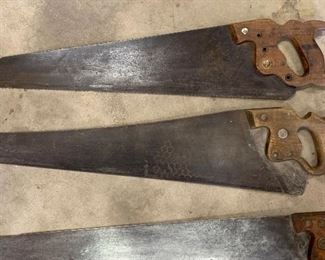 Many Antique Disston Saws
