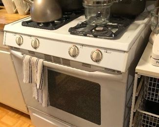 Four-eyed gas oven is surprised to see you