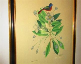 Audubon/ Botanical Hand Colored Print