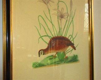 Antique Botanical/ Audubon Hand Colored Print