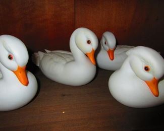 Daphne Kazmar Ducks