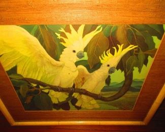 Art Deco Print of Cockatoo's