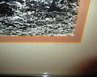 Signature - Tekavic - Photo of Cows