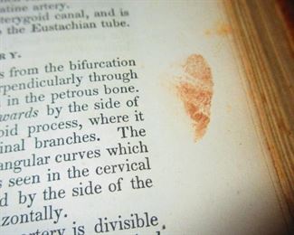 Finger Print Found in "A System of Human Anatomy" Illustrated Medical Book ca. 1848