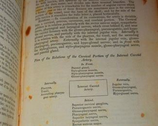 Detail of "A System of Human Anatomy" Illustrated Medical Book ca. 1848