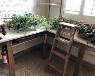 Silk plants , ladder