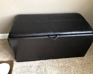 Double Ottoman Storage