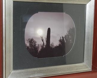 $24.00-Silver Framed Cactus Photo