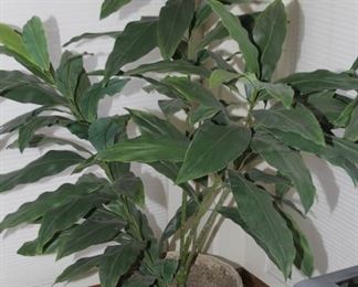 $45.00-Large Faux Palm in White Wicker Planter