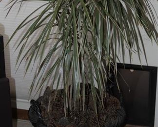 $35.00-Faux Plant in Black Wicker Basket