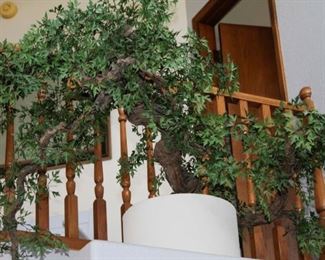 $150.00-Faux Bonsai Tree in White Planter