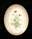 ROYAL COPENHAGEN OVAL "FLORA DANICA" PLATTER. POTENTILLA PATTERN. GOOD. 1 3/4" H X 14 1/8" W X 11 1/8" L.