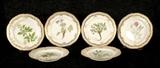 6 ROYAL COPENHAGEN "FLORA DANICA" SALAD PLATES. "POTENTILLA" PATTERN. GOOD. 9" DIA.