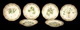 6 ROYAL COPENHAGEN "FLORAL DANICA" DINNER PLATES. "POTENTILLA" PATTERN. GOOD. 10 1/2" DIA.