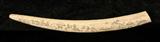 ESKIMO SCRIMSHAW TUSK. CARVED FIGURAL VILLAGE DECORATION. SIGNED AND DATED 1973. GOOD. 24 1/2" LONG.