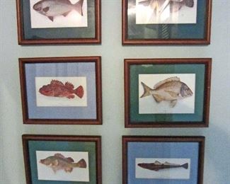 Fish print set