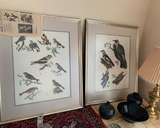 Audubon prints