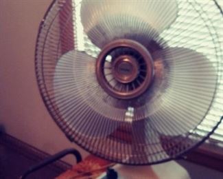 Fan