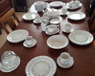 Dish set. Microwave and dishwasher safe