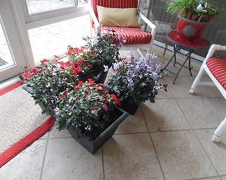 Some of the planters will be for sale.. Not sure which ones the owner is taking