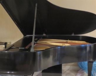 Steinway Grand Piano