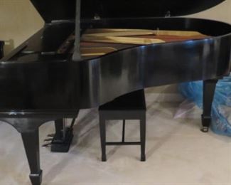 Steinway Grand Piano