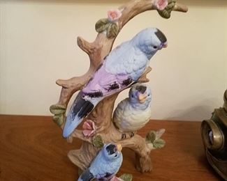 Beautiful porcelain bird collection