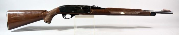 Remington Nylon 66 .22 LR Rifle SN# 2582068
