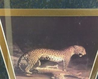 Framed leopards
