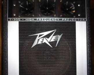 several pieces of this Peavey electronics