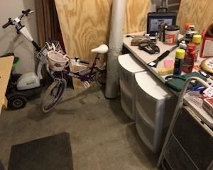 Petgo scooter, sports