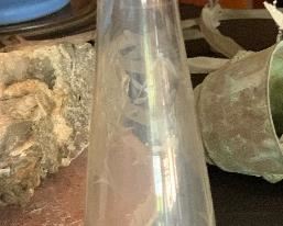 Dunkin Sterling Silver/Glass Bud Vase