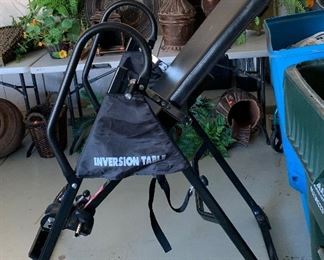 Life Gear Inversion Table		
