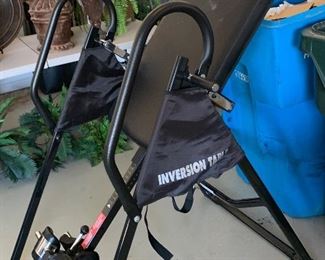 Life Gear Inversion Table		
