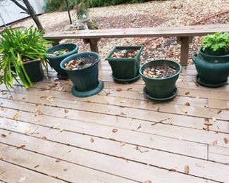 Plants