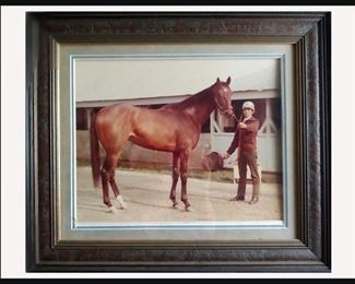 Framed Jockey and Horse Photo 