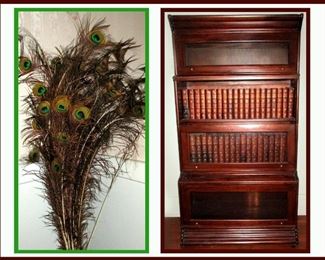 Long Peacock Feathers and Very Nice Barrister Bookcase 