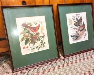 59. Two 2 Scientific Illustrations of Birds and Plants