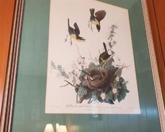 Vintage bird prints