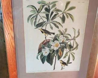 Vintage bird prints