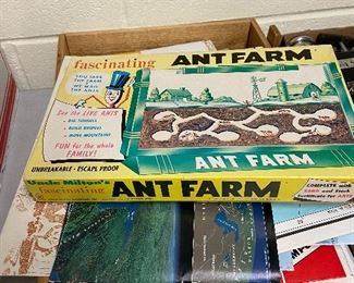 Ant farm, paper ephemera 
