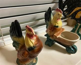 Beautiful roosters