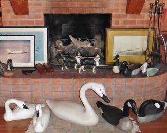 Duck decoys and swans and geese