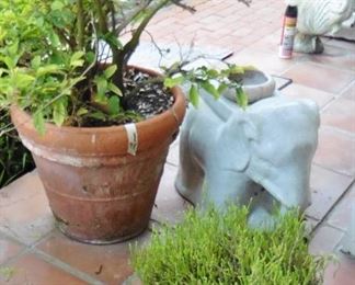 Plants and ceramic elephant