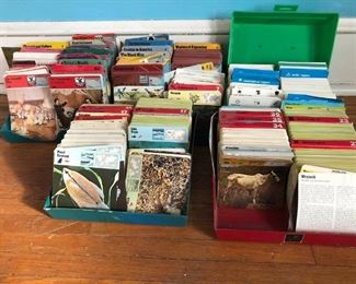 Vintage RECONTRE SU LAUSANNE SAFARI FACT CARDS and 1979 PANARIZON PUBLISHING CARDS https://ctbids.com/#!/description/share/333223